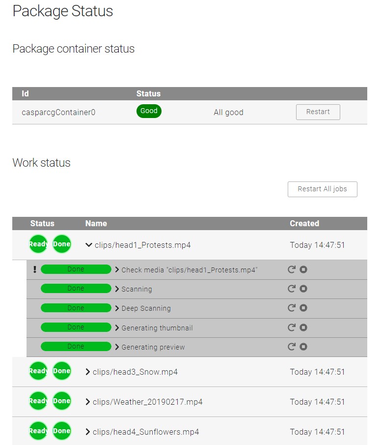 Example Package Manager status display